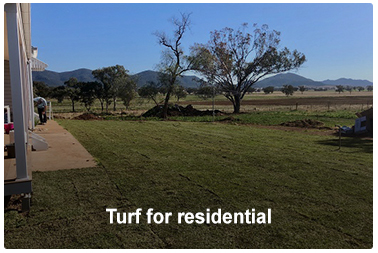 Turf-for-residential-1
