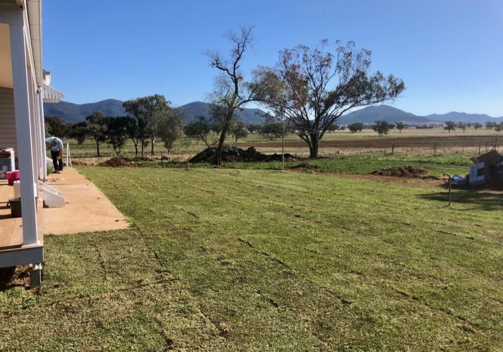 Photo-17-6-20-11-41-46-am